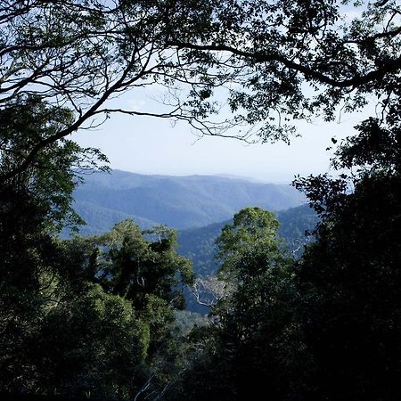 Villa Mt Glorious Getaways Mount Glorious Exterior foto